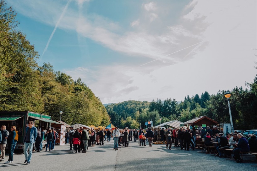 Gljivarenje 2021 0242 (1)