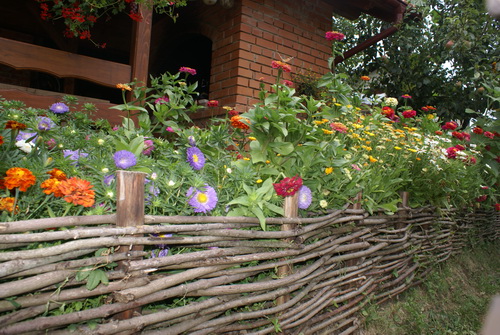 zrinski
