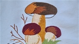 gljive017