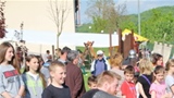 vitez10