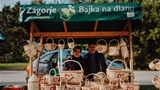 Gljivarenje 2021 0029
