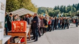 Gljivarenje 2021 0240