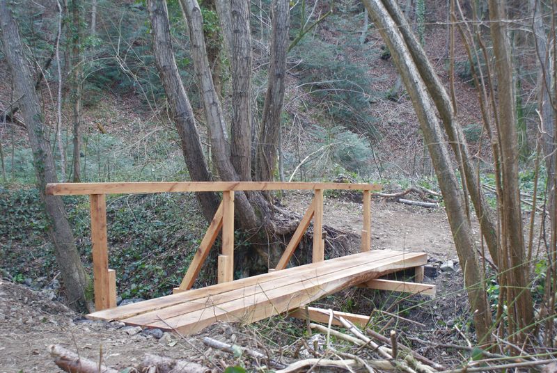 Image00007