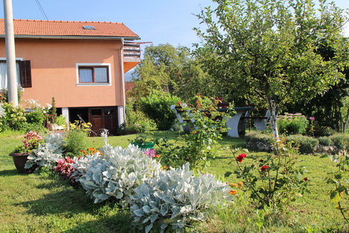 cvijet2014.10