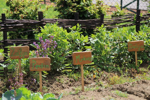 horti201616