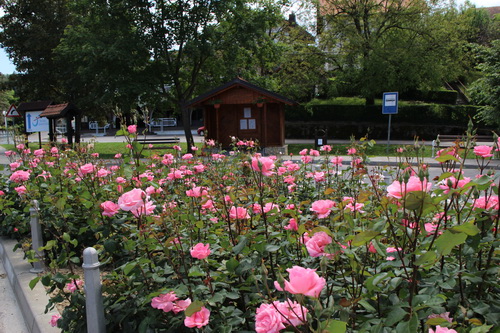 horti201604