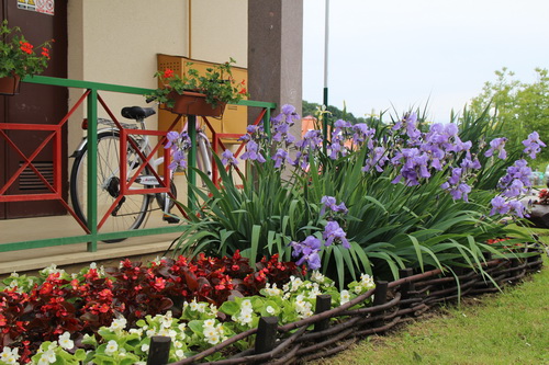 horti201615