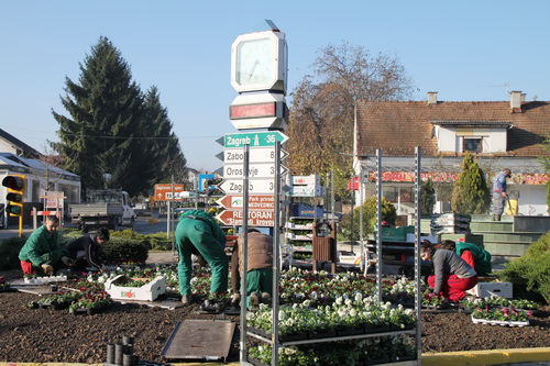 sadnja2010