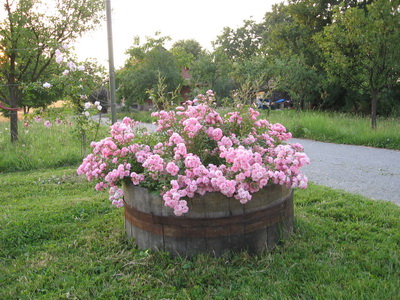IMG 0143 resize