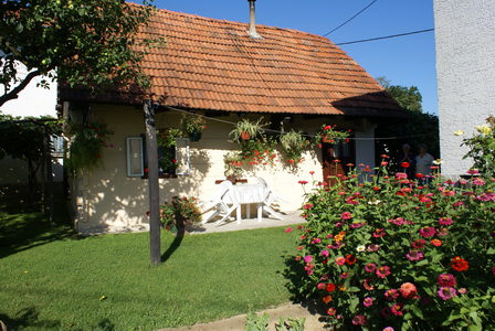 0003 resize