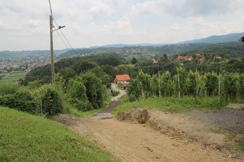 cestabuna2