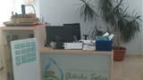 tz logo