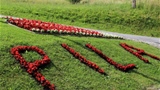 horti201605