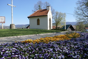 zelenicvijet3 resize