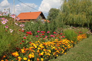 08c