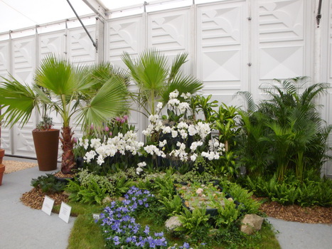 flora3