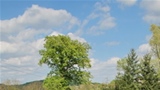 biciklijada17